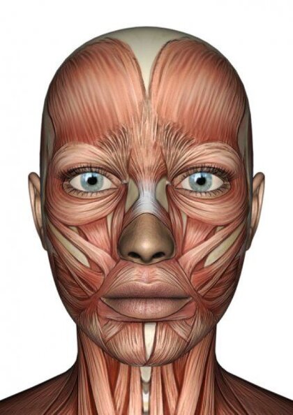 Ce este remodelarea miofascială facială?