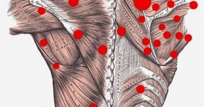 De ce ai nevoie de acest curs?